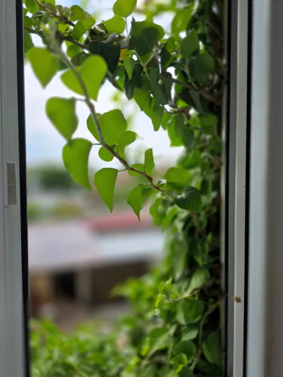 Уютная квартира в историческом центре