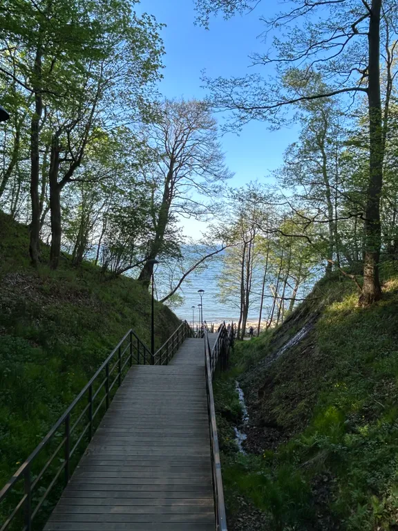 Квартира Апартаменты с видом на парк — Светлогорск