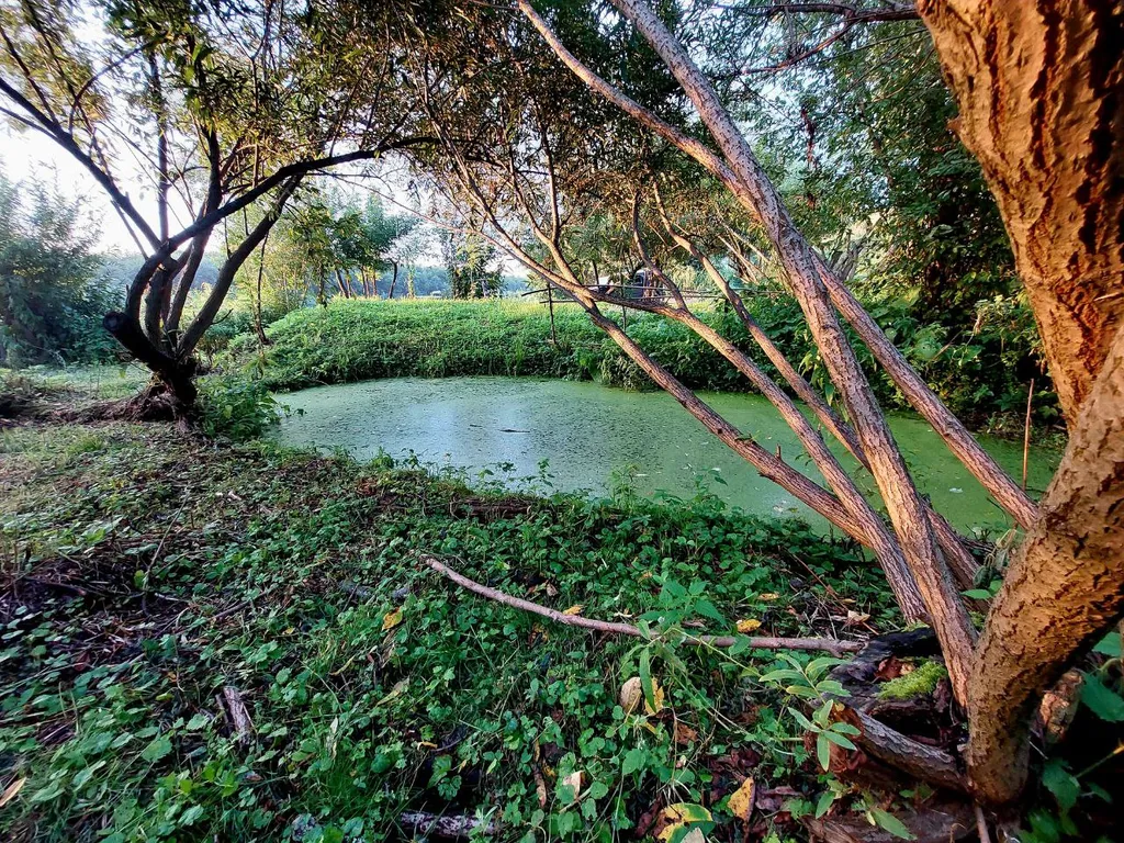 Дом с кораблем на берегу реки