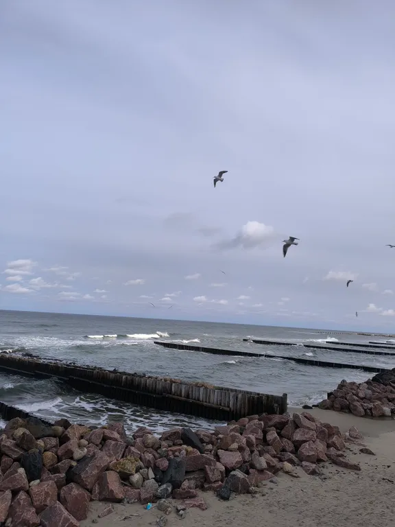 Апартаменты на Майском, оз.Тихое