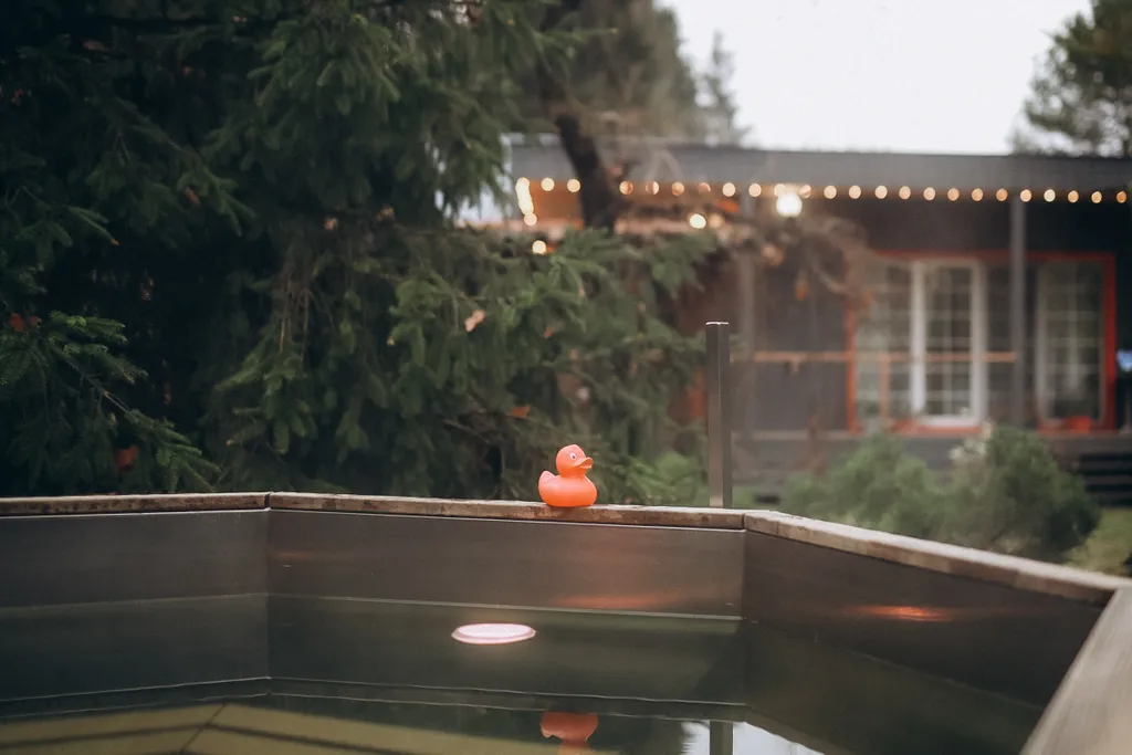 Дача с красными карпами с баней и чаном