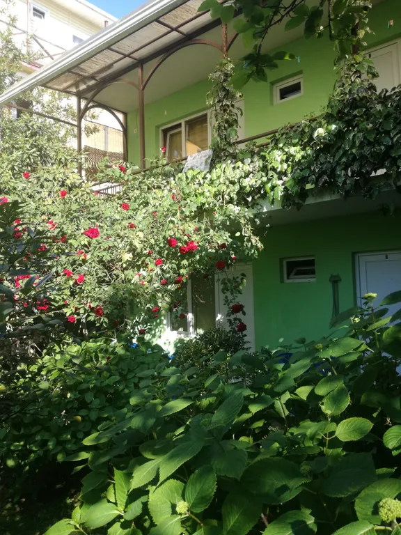 Квартира Комната — Адлер