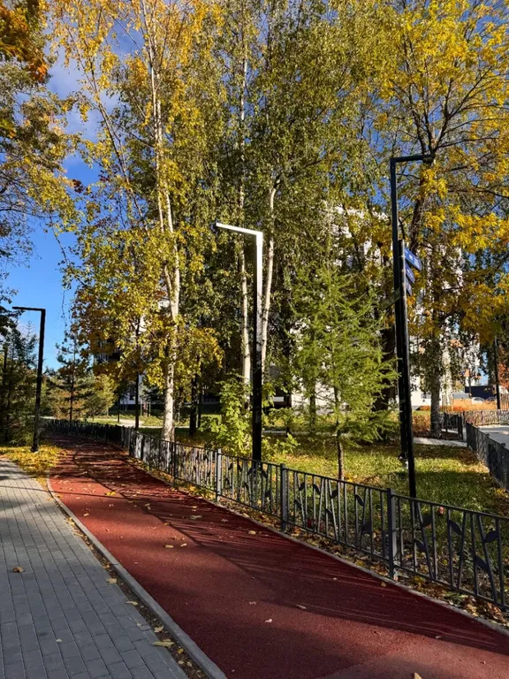 Видовая квартира в центре Петрозаводска