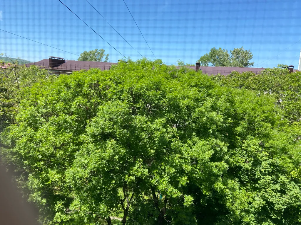 3-комнатная квартира в районе парк Говорухина