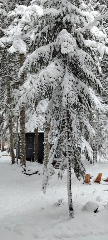 Коттедж Коттедж София — Архыз