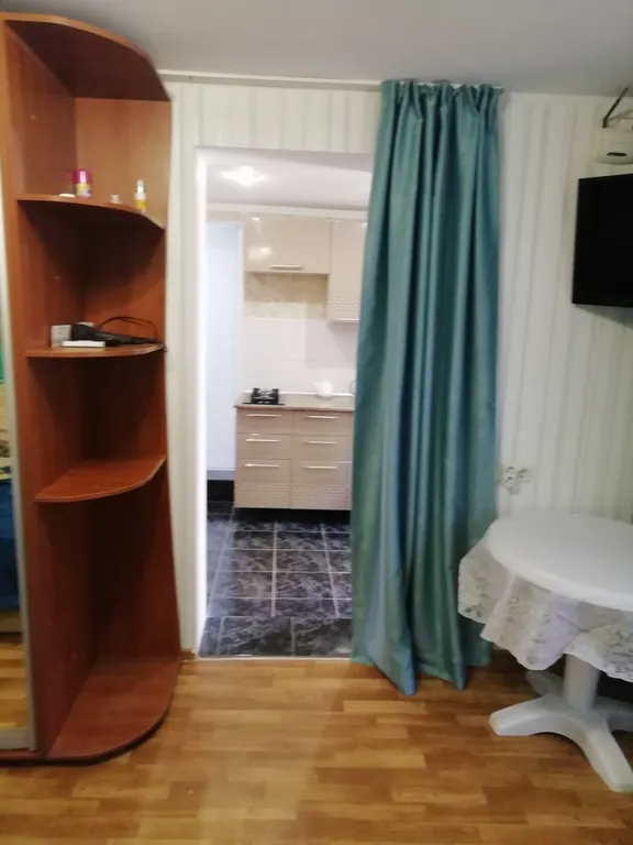 Однокомнатная квартира с двориком