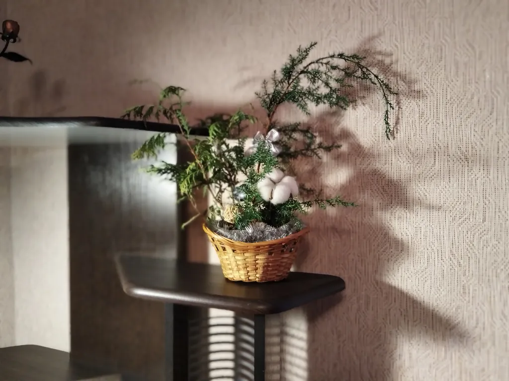 Квартира в зелёной зоне