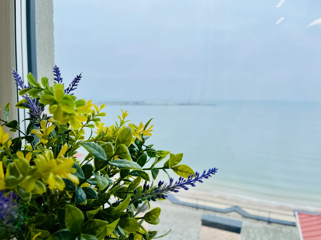 Апартаменты Sea Breeze с видом на море