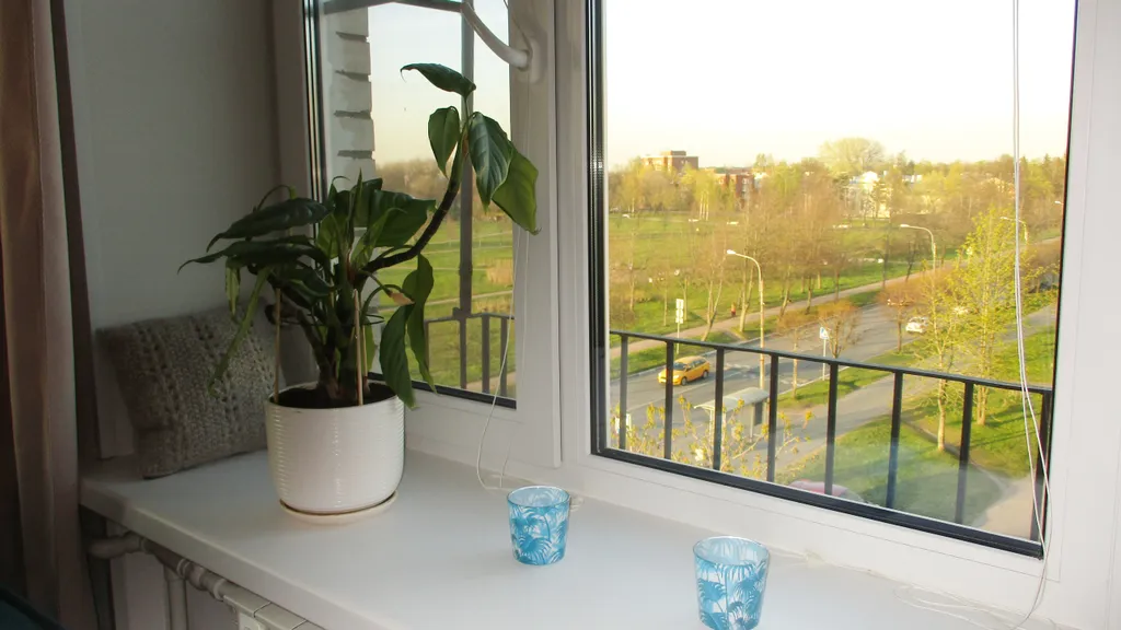 Вид на Петергоф