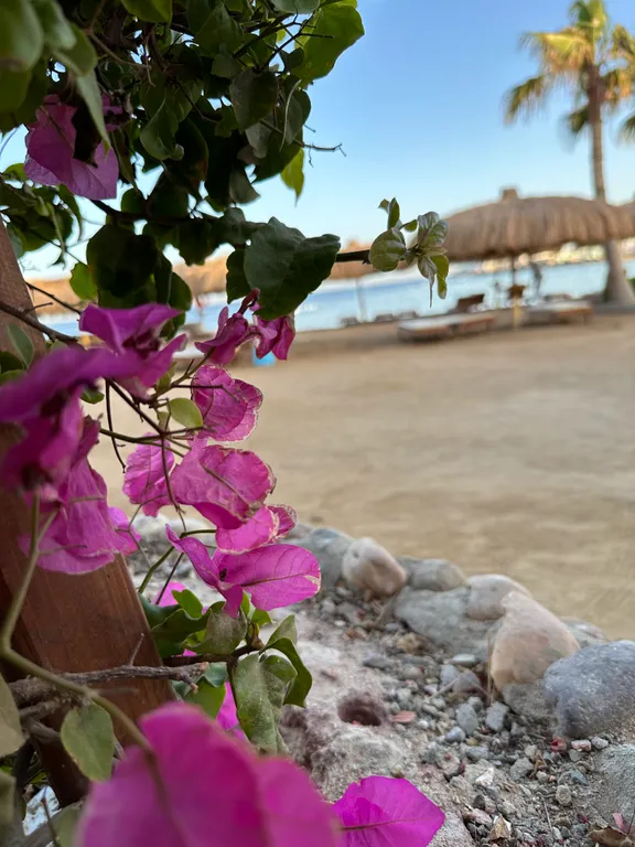 Апартаменты с личным пляжем и бассейном