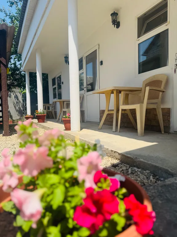 2-местный эконом