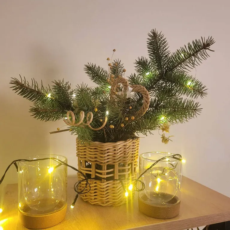 Гостевой дом Тропа