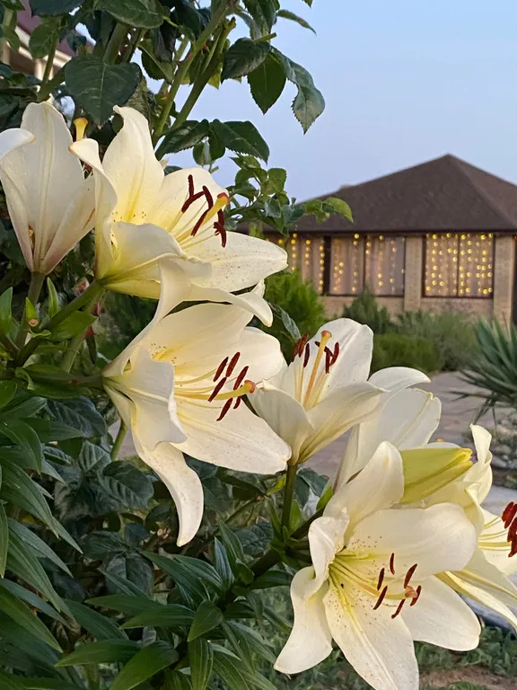 Квартира Квартира Стандартный трехместный номер — Витино