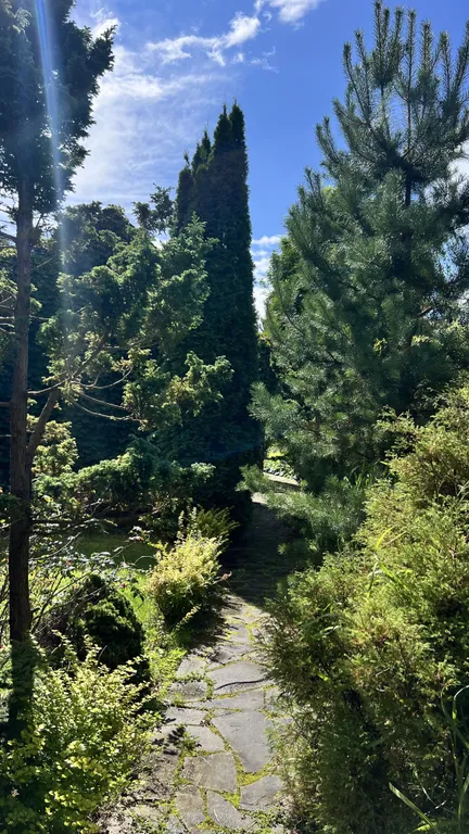 Уединённый хутор в лесу у реки с баней и камином