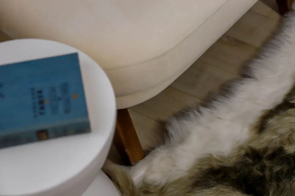 Квартира Уютная светлая квартира в центре — Санкт-Петербург