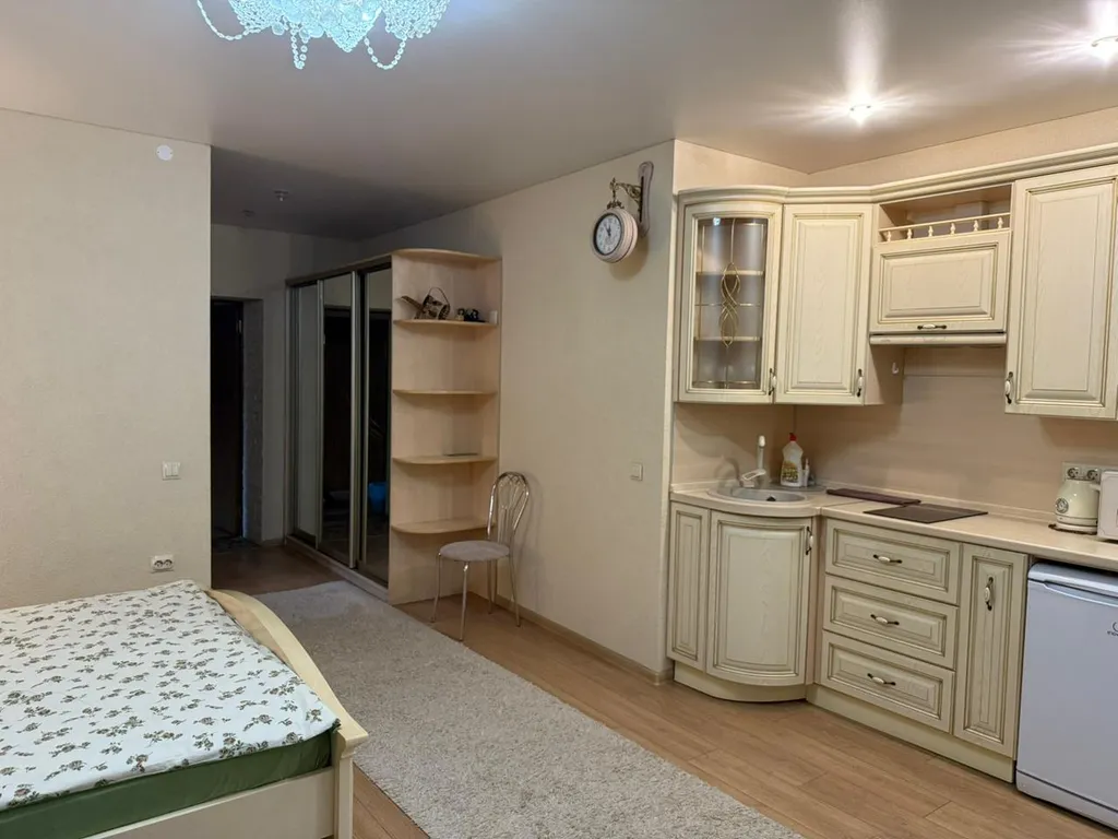 Однокомнатные апартаменты студия делюкс в центре у Торговых рядов