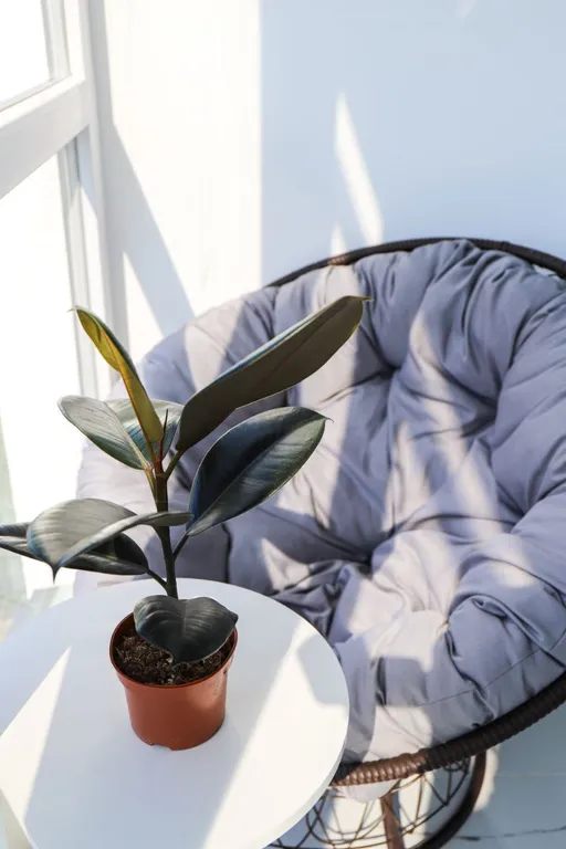 Квартира бизнес-класса