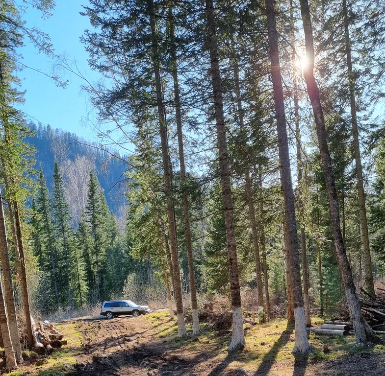 Дом на Алтае