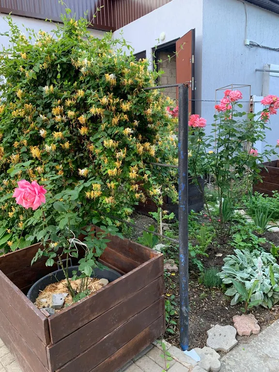 Четырехместный номер с кухней 11