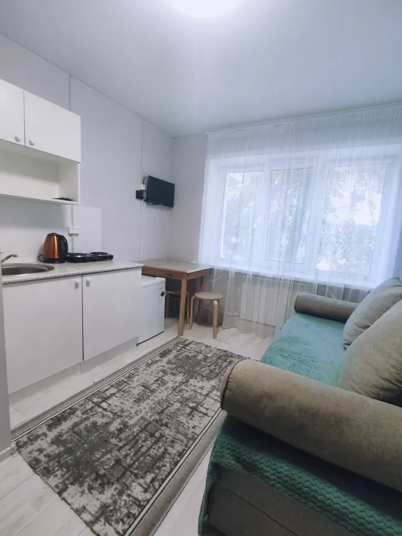 Уютная студия в центре рядом с ТЦ Галерея Чижова и цирком