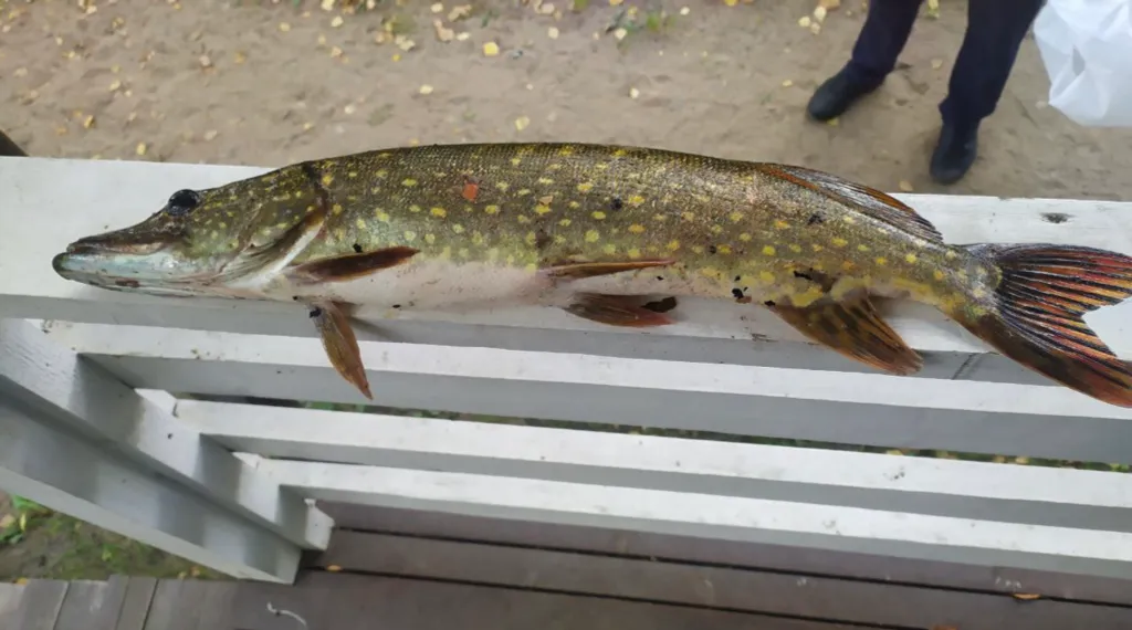 Домик для двоих