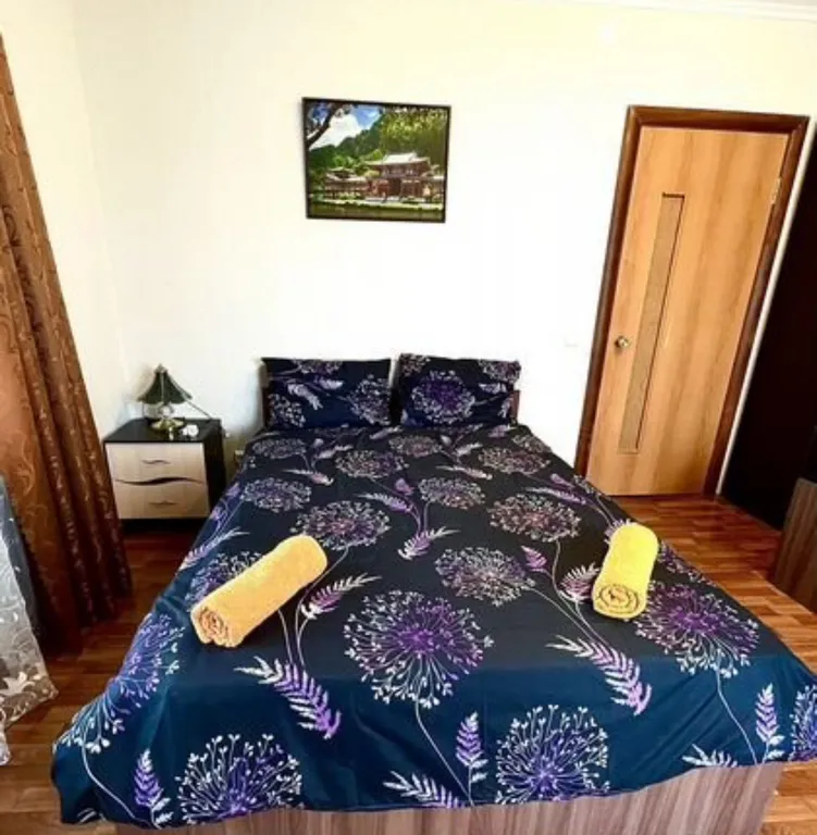 Уютная однокомнатная квартира в центре