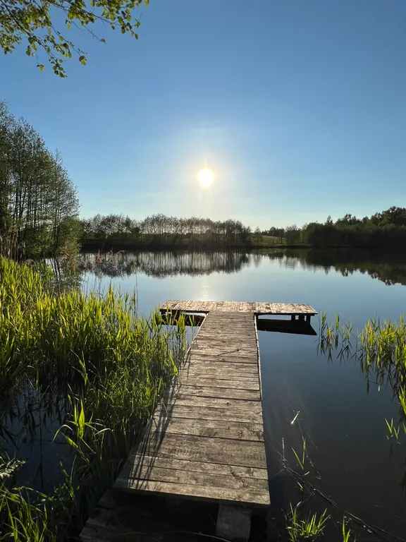 Живописная усадьба в лесу у озера