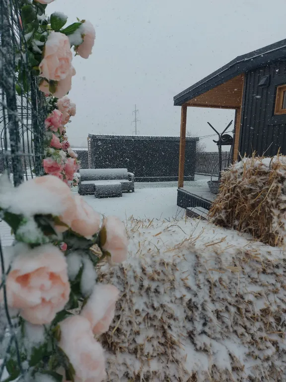 Дом вместимостью до 4 гостей в глэмпинге Улей