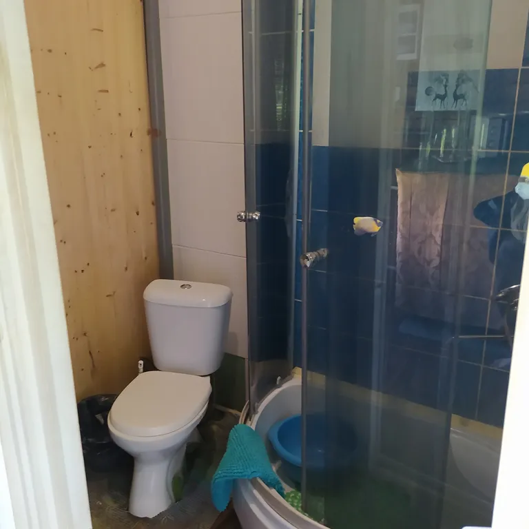 Дом у лесного озера