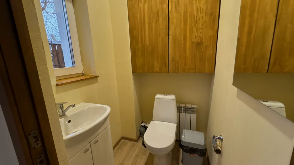 Дом Тихий Бор в березовом лесу