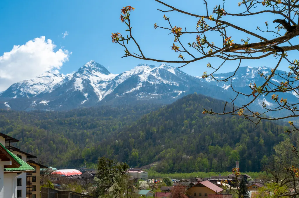 Апартамент Альпина