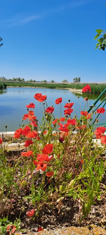 Коттедж Деревянный дом Дача — Темрюк