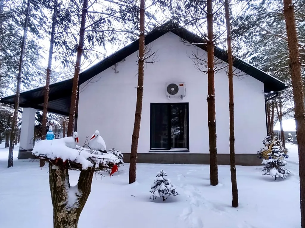 Уютный дом в лесу на 3 семьи