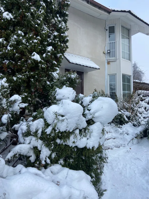 Дом холостяка