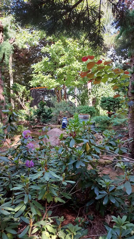 Коттедж с баней и джакузи для семейного отдыха