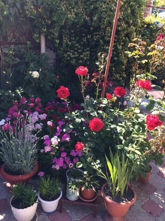 Коттедж 1-комнатный Дом — Ейск