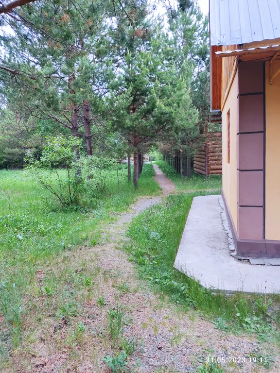 Дом в лесу у реки