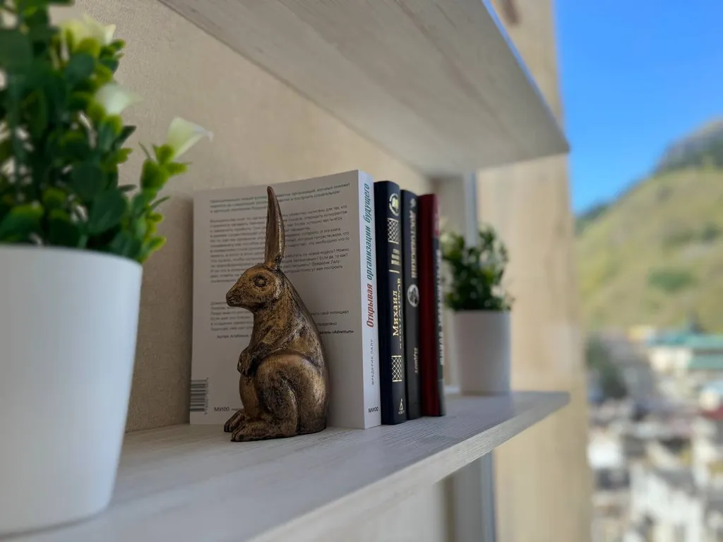 Лучшие видовые апартаменты в Терсколе, фишка - сушилка для лыж/бордов