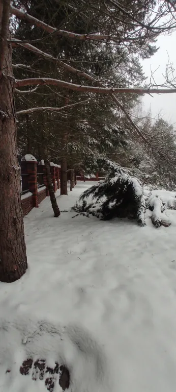Коттедж Современный дом на берегу водохранилища — Можайск