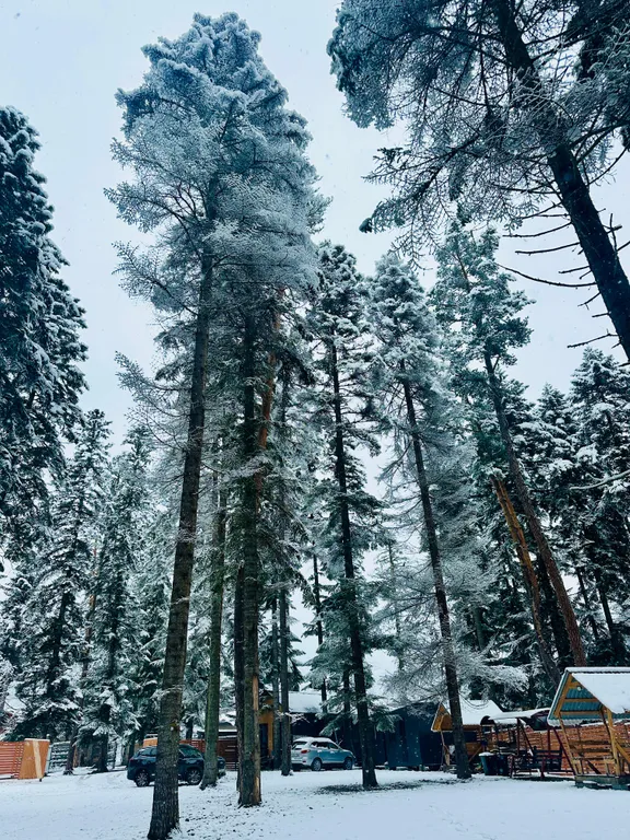 Большой коттедж