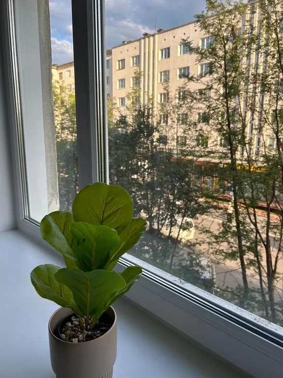 Апартаменты Белый Медведь