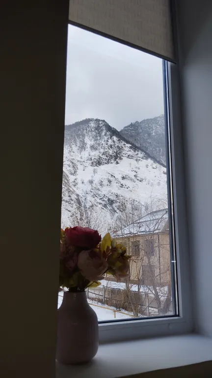 Двухэтажные апартаменты в центре, своя мангальная зона и тёплый гараж