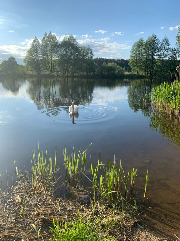 Домик в Белорусской Швейцарии