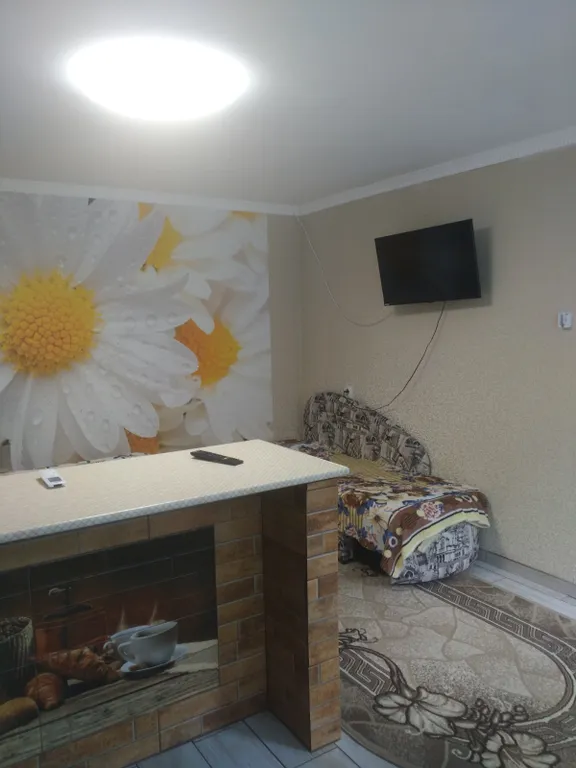 Комфортная квартира студия в частном доме