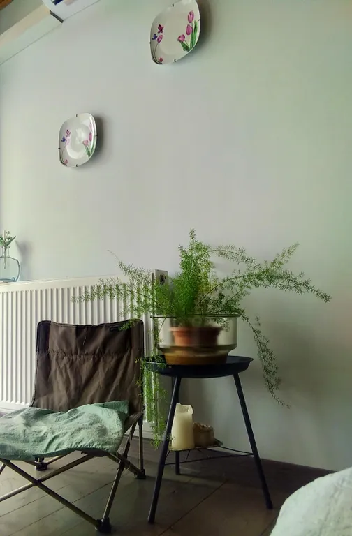 View apartment в старом городе