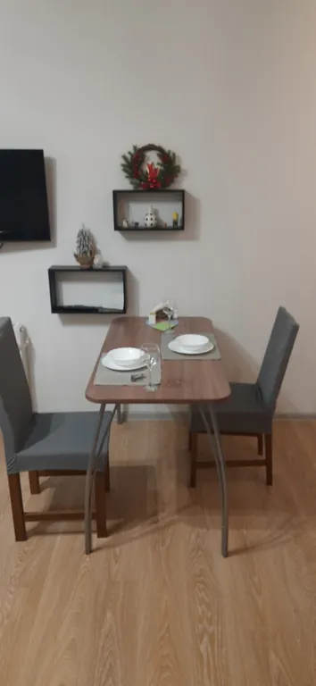 Уютная студия в центре города