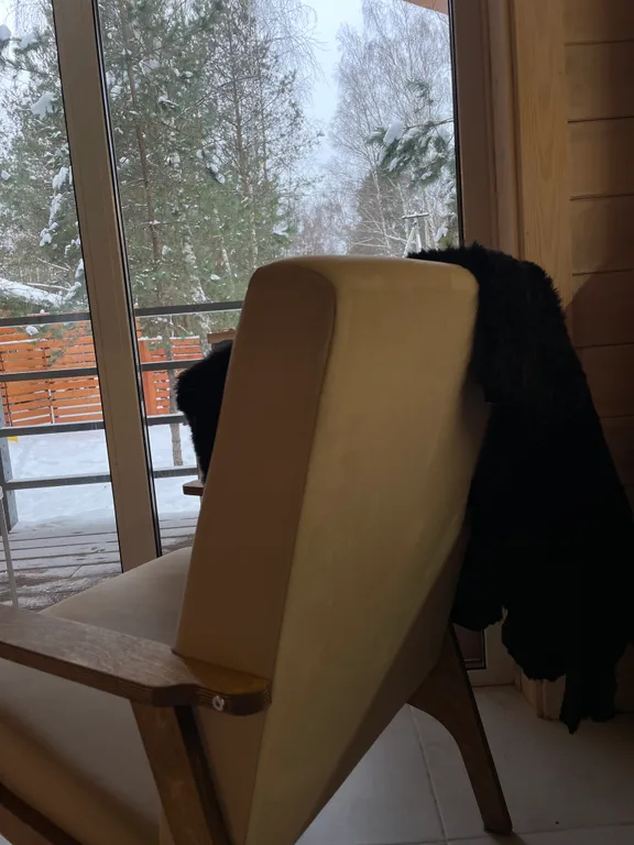 Милый Дом в лесу