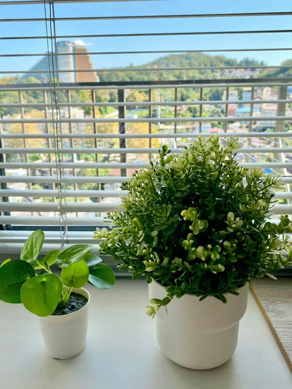 Современная студия у моря в ЖК Каравелла Португалии