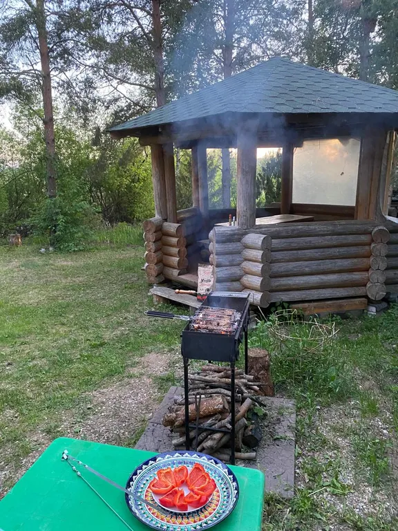 Дом на самом берегу озера селигер