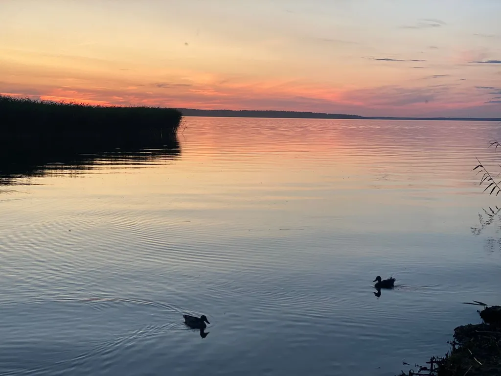 Дуплекс на берегу Селигера